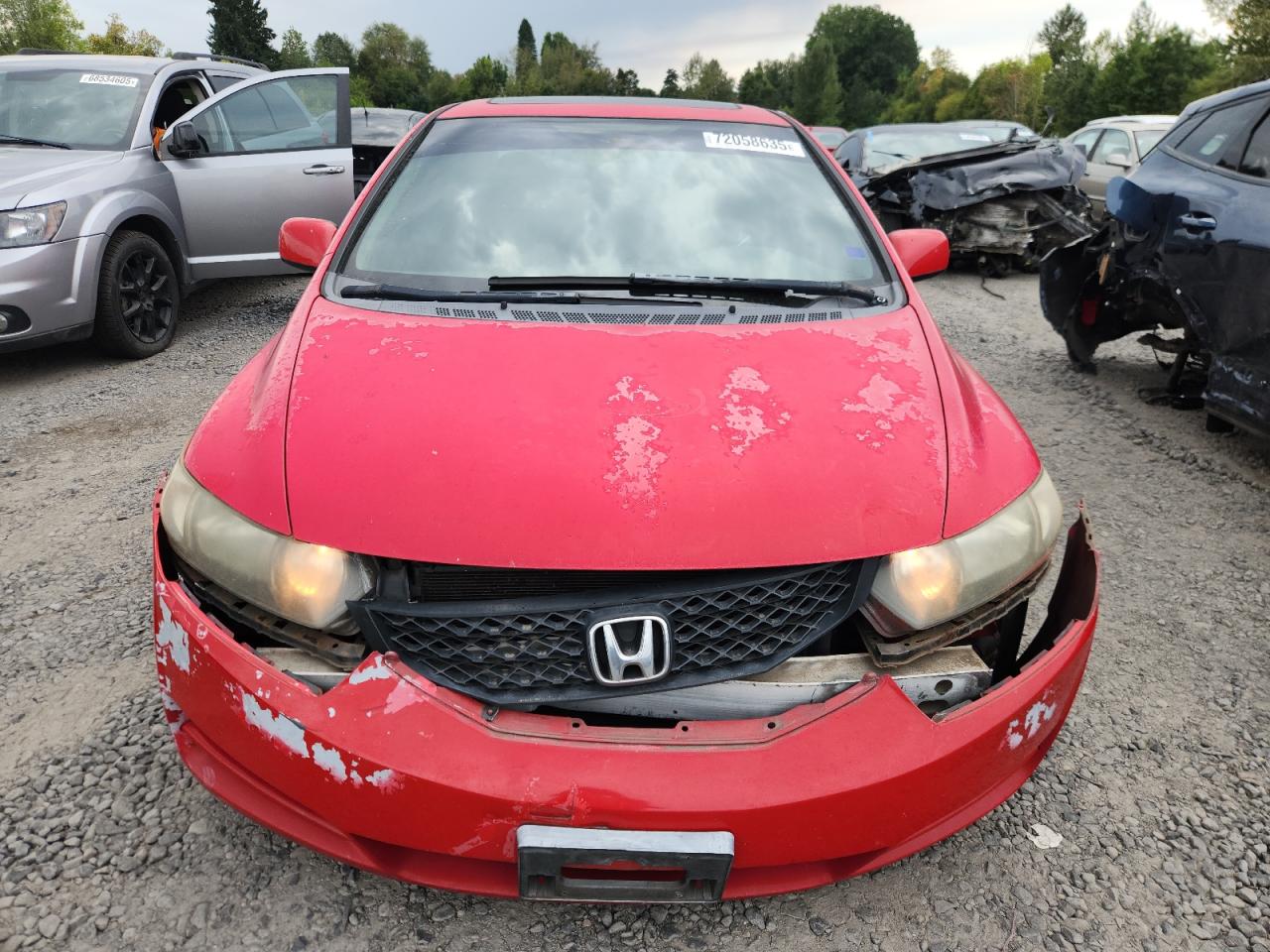 Global Auto Auctions