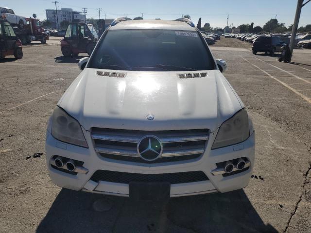 2010 MERCEDES-BENZ GL 450 4MA #3301877440