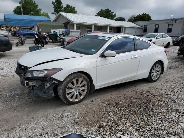 Global Auto Auctions: 2010 HONDA ACCORD EXL