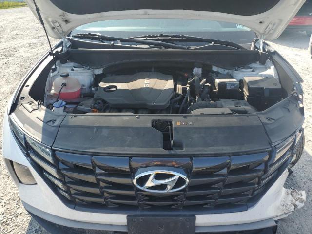 2023 HYUNDAI TUCSON SEL 5NMJBCAE2PH191991