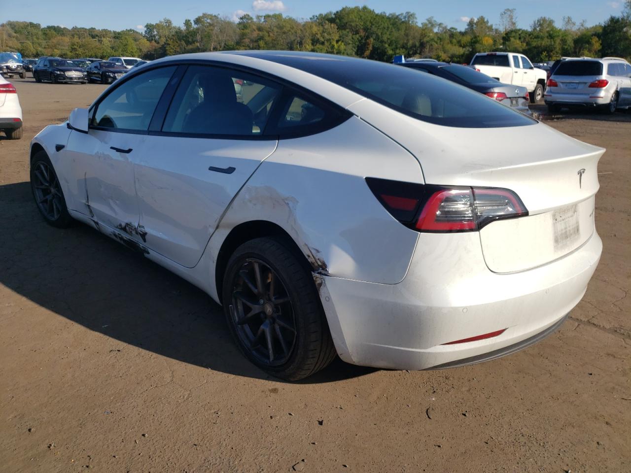 Lot #3317702078 2022 TESLA MODEL 3