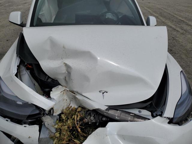 2025 TESLA MODEL Y 7SAYGDED8SF255343