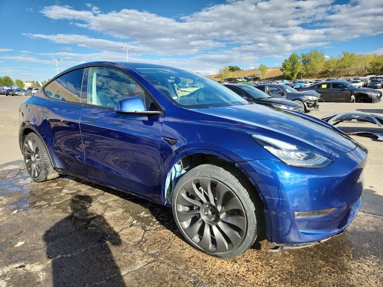 TESLA MODEL Y