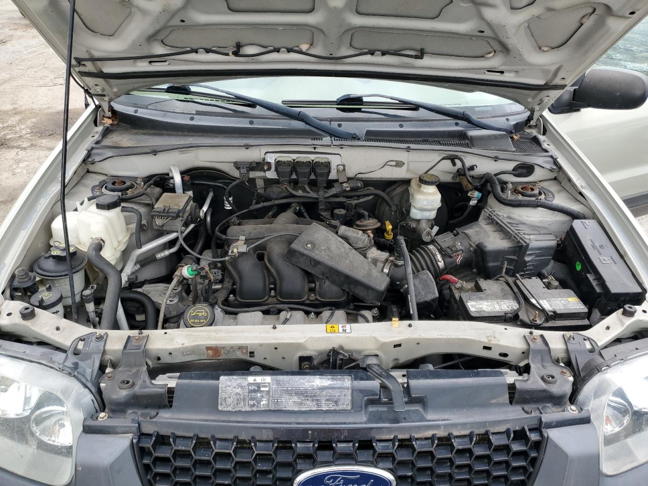 Lot #3262063090 2006 FORD ESCAPE XLT