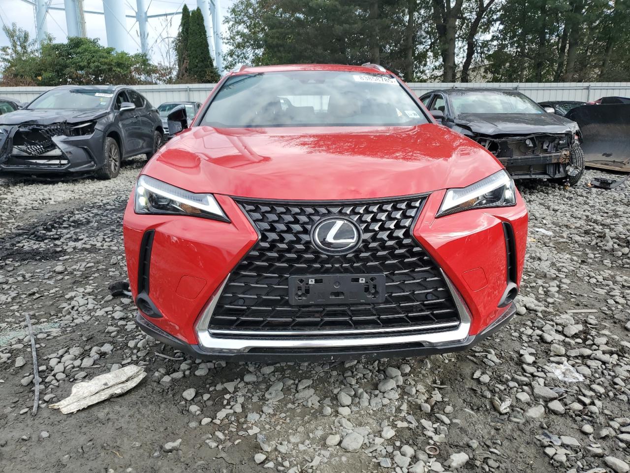 LEXUS UX 250H PREMIUM