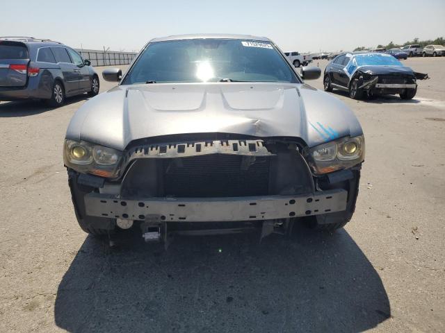 2011 DODGE CHARGER R/ - 2B3CM5CT7BH572428