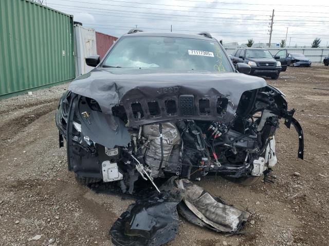 2019 JEEP CHEROKEE LIMITED 1C4PJLDN2KD340961