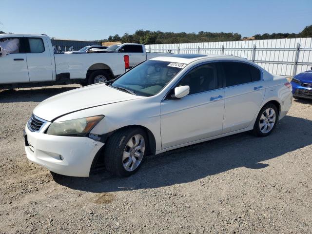 2010 HONDA ACCORD EXL - 1HGCP3F87AA001621