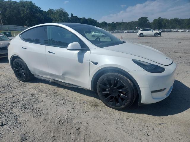 2021 TESLA MODEL Y - 5YJYGDEE2MF175206