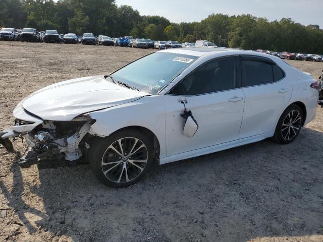 Global Auto Auctions: 2019 TOYOTA CAMRY L