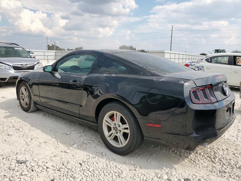 2014 FORD MUSTANG - 1ZVBP8AMXE5229264