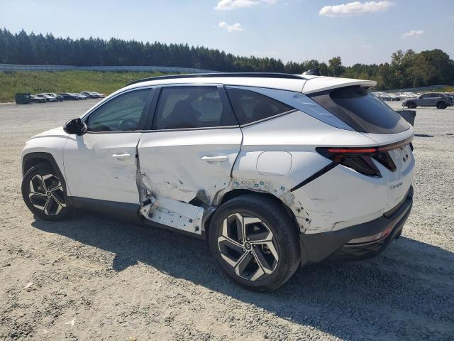 2023 HYUNDAI TUCSON SEL 5NMJF3AE7PH187083