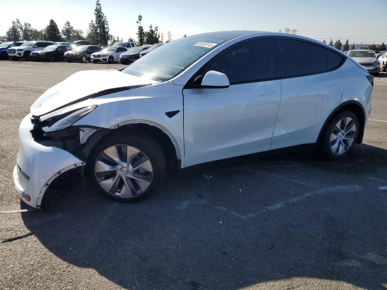 Lot #3284164574 2024 TESLA MODEL Y