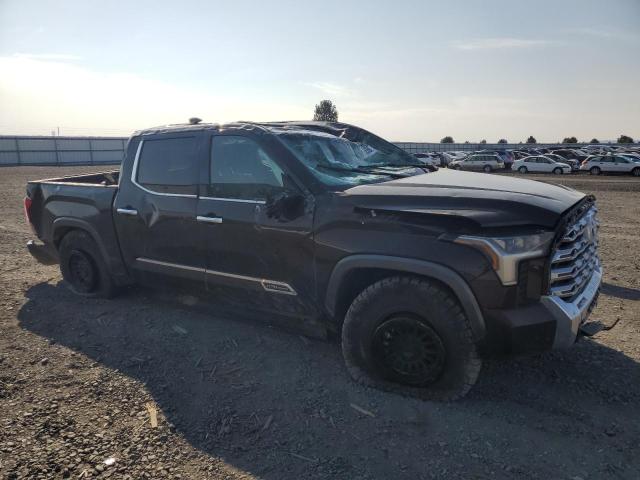 2023 TOYOTA TUNDRA CREWMAX PLATINUM 5TFMA5DB7PX096413