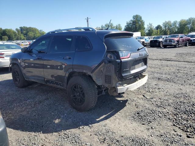 2019 JEEP CHEROKEE L 1C4PJMDN2KD179873