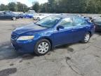 Top Destinations for Shipping Cars from the USA