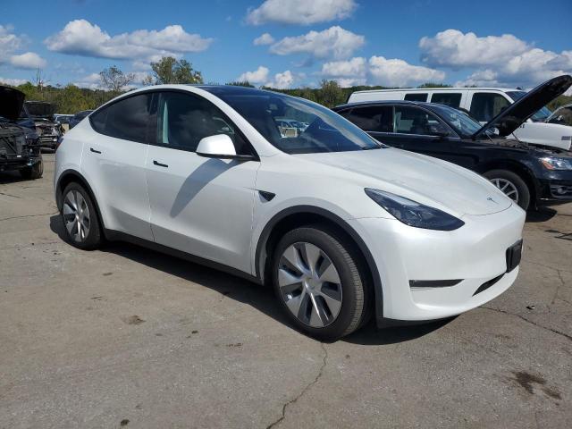 2023 TESLA MODEL Y #3304515561