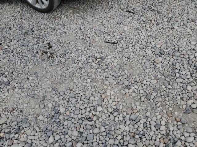 2021 TOYOTA CAMRY LE 4T1C11AK9MU452782