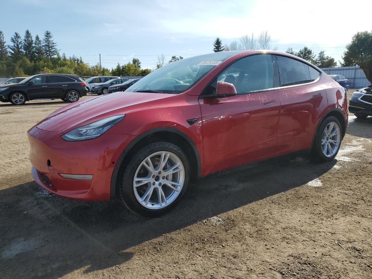 TESLA MODEL Y