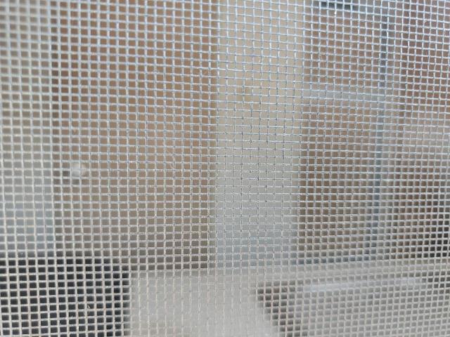 2004 WILDWOOD SURVEYOR #3236846379