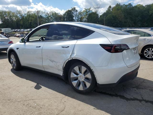 2023 TESLA MODEL Y #3304515561