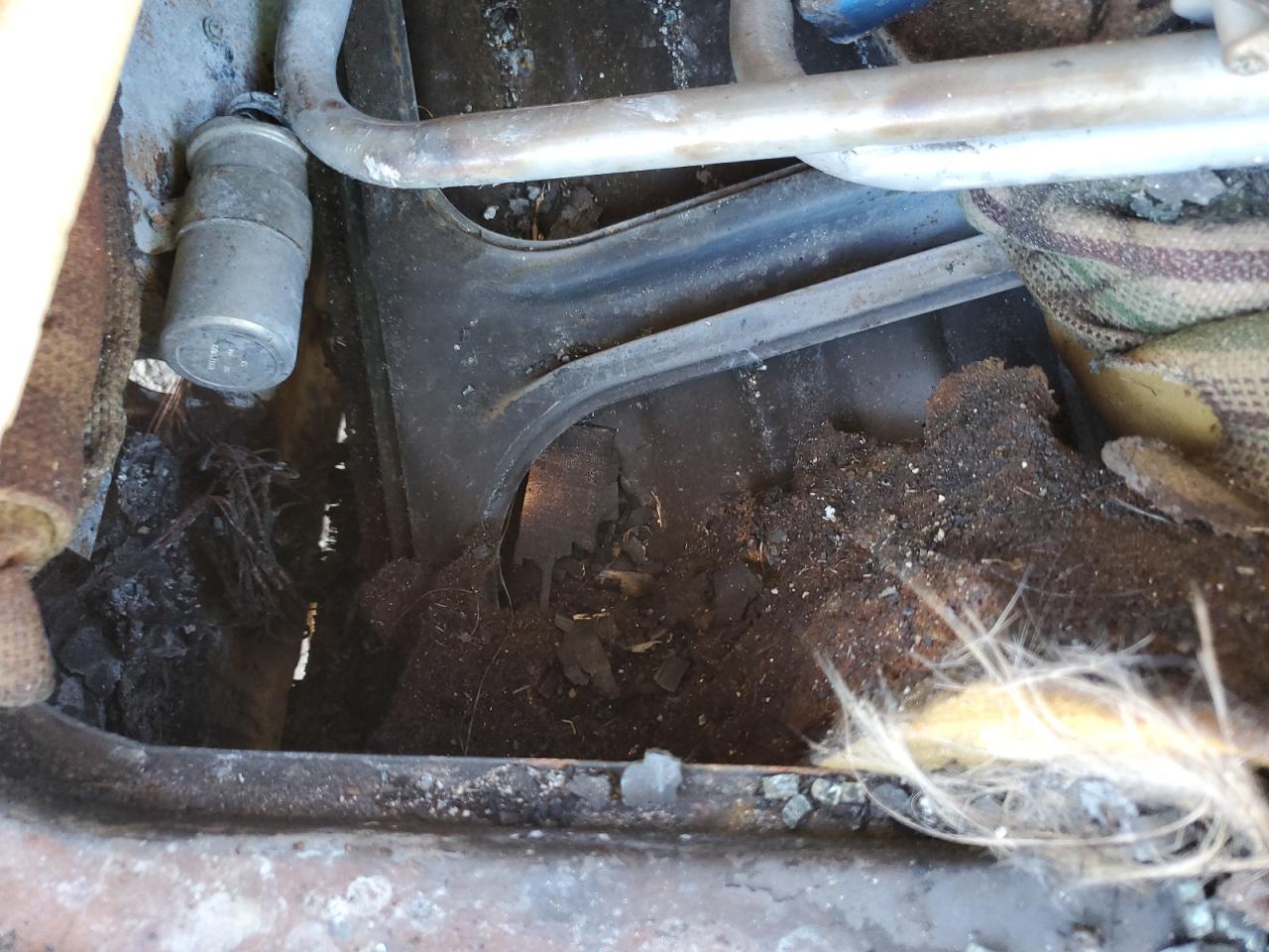 Lot #3268767405 1982 VOLKSWAGEN VANAGON CA