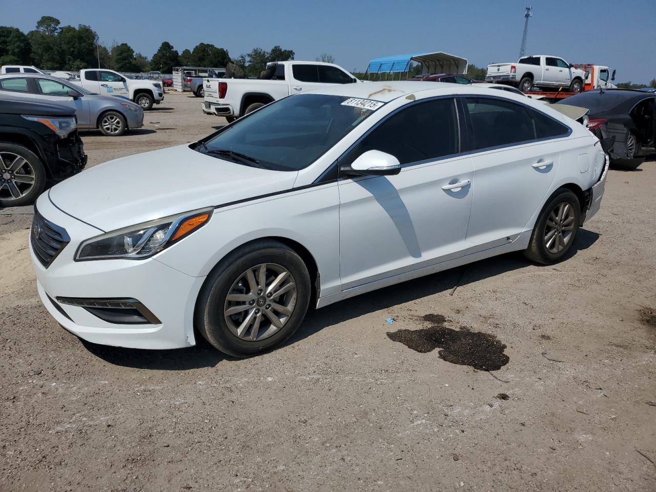 HYUNDAI SONATA ECO