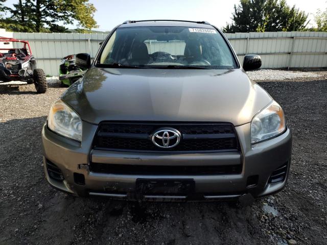 2010 TOYOTA RAV4 - 2T3BF4DV2AW031199