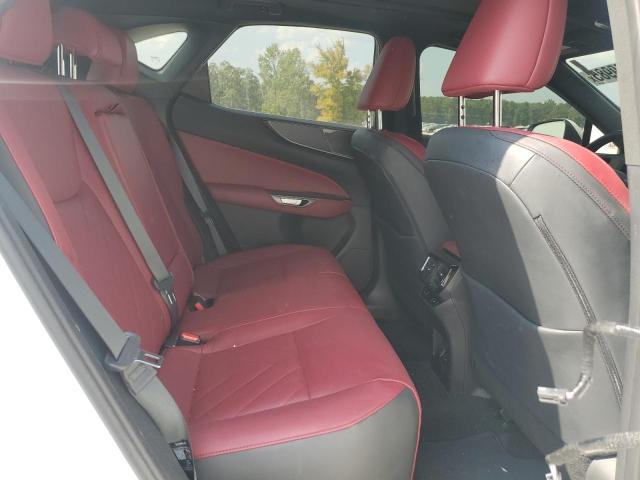 2024 LEXUS NX 350 LUX 2T2HGCEZ8RC051557