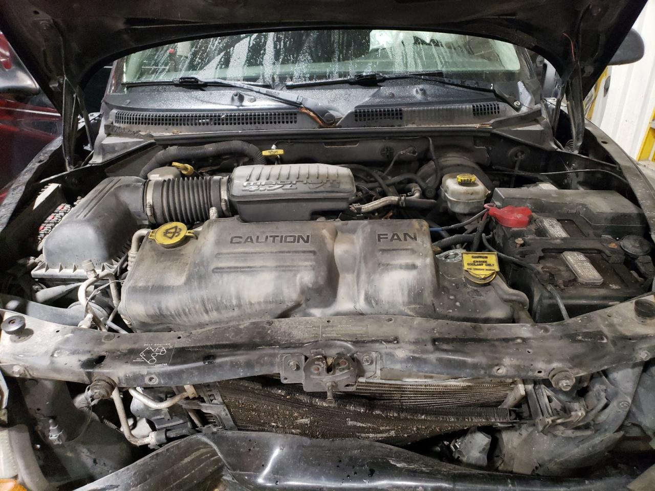 Lot #3302708057 2004 DODGE DAKOTA QUAD SPORT