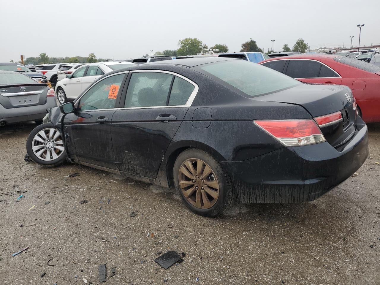HONDA ACCORD EX