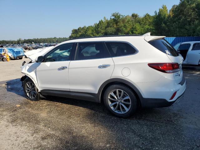 2019 HYUNDAI SANTA FE X KM8SN4HF6KU298202
