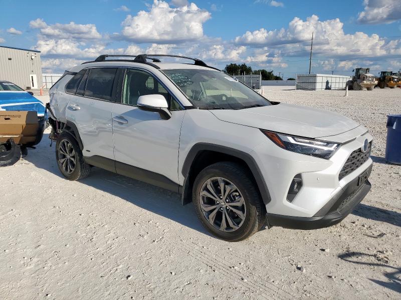 2024 TOYOTA RAV4 XLE P - JTMB6RFV6RD557077