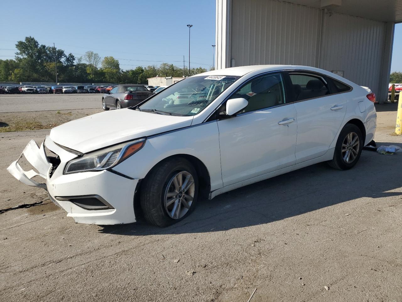 Lot #3266967498 2016 HYUNDAI SONATA SE