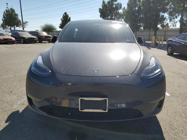 2025 TESLA MODEL Y 7SAYGDEF9SF311551