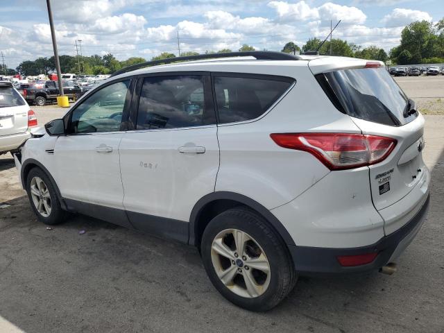 2014 FORD ESCAPE SE - 1FMCU0GX6EUB25181