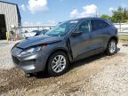2022 FORD ESCAPE SE - 1FMCU0G69NUA48409