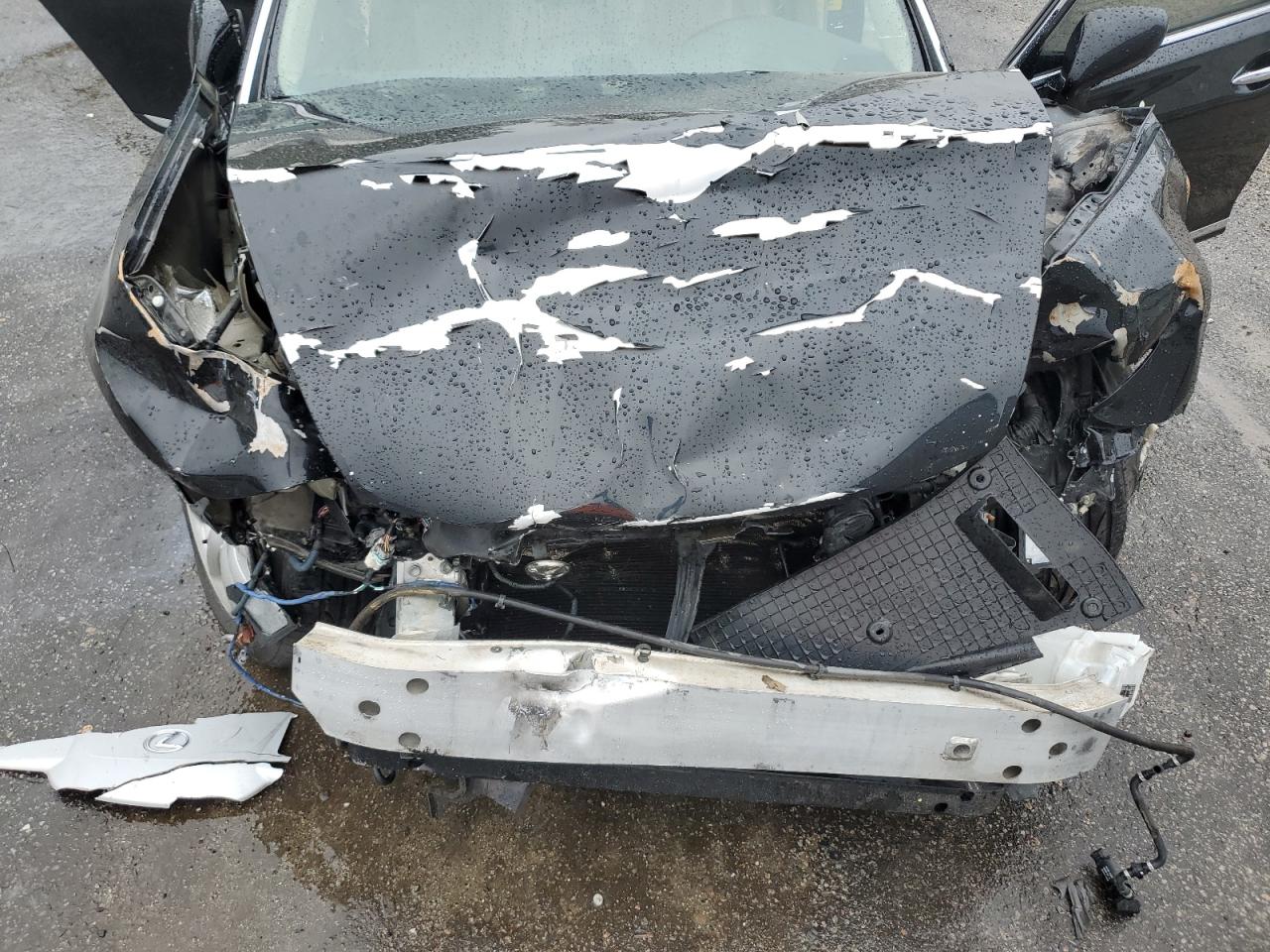 Lot #3282610867 2009 LEXUS LS 460