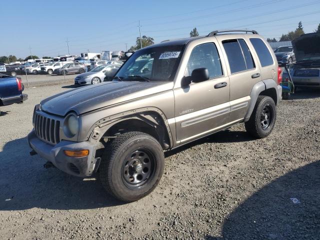 Global Auto Auctions: 2004 JEEP LIBERTY SP