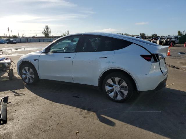 2023 TESLA MODEL Y 7SAYGDEE4PF792520