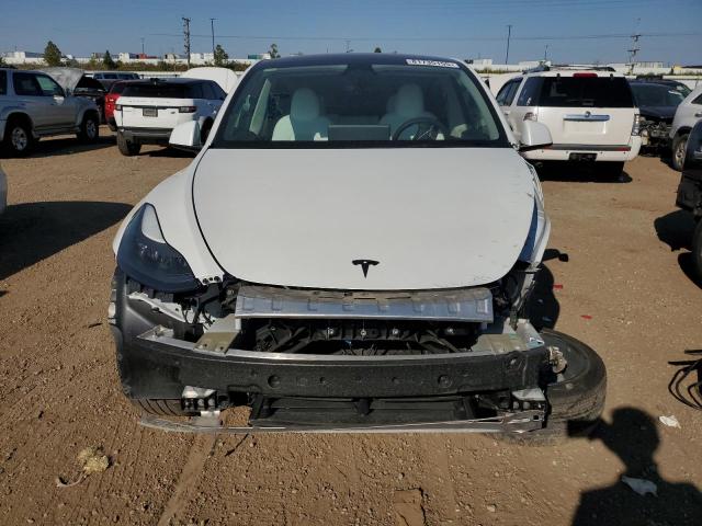 2023 TESLA MODEL Y #3290370774