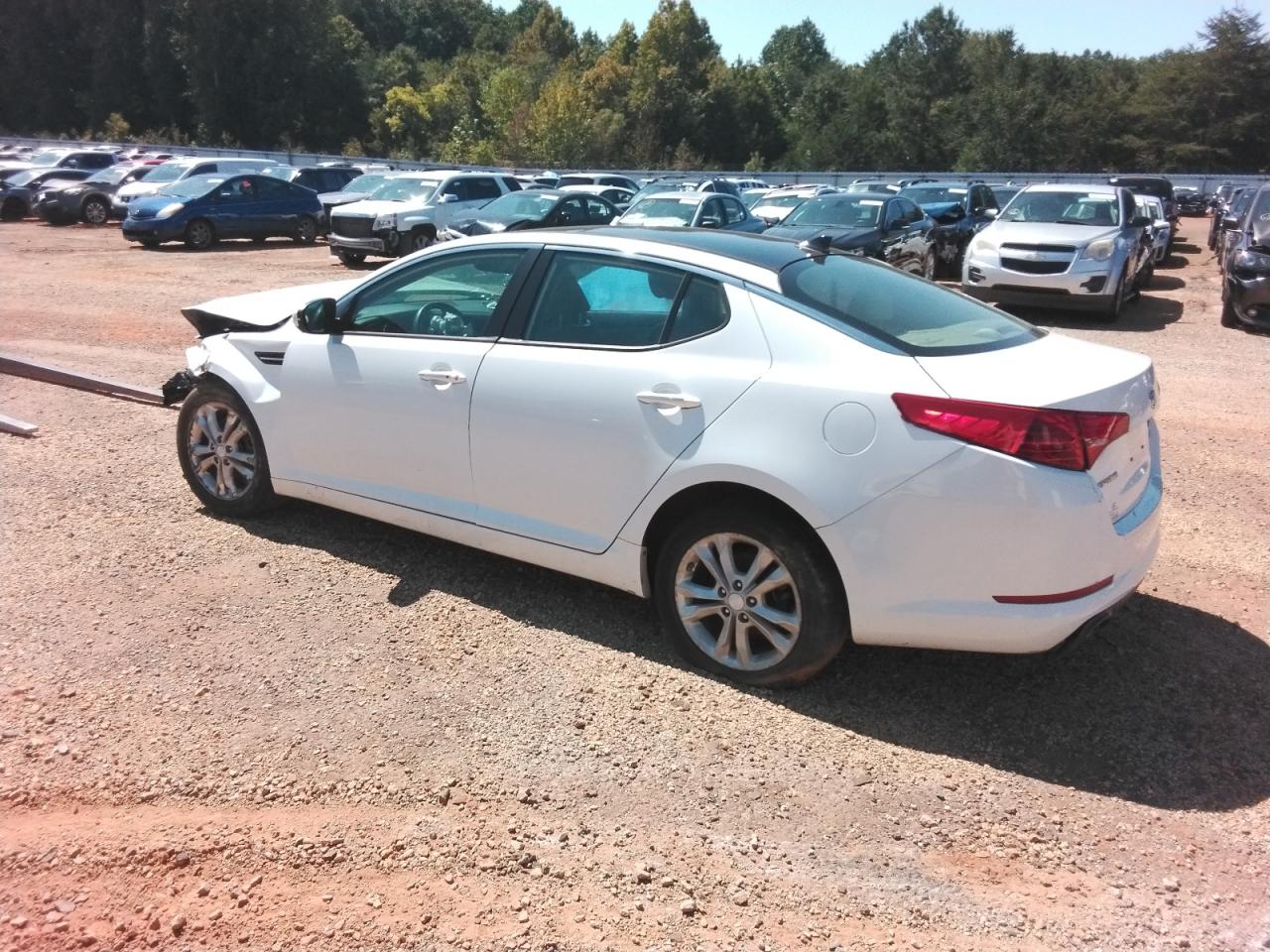 Global Auto Auctions