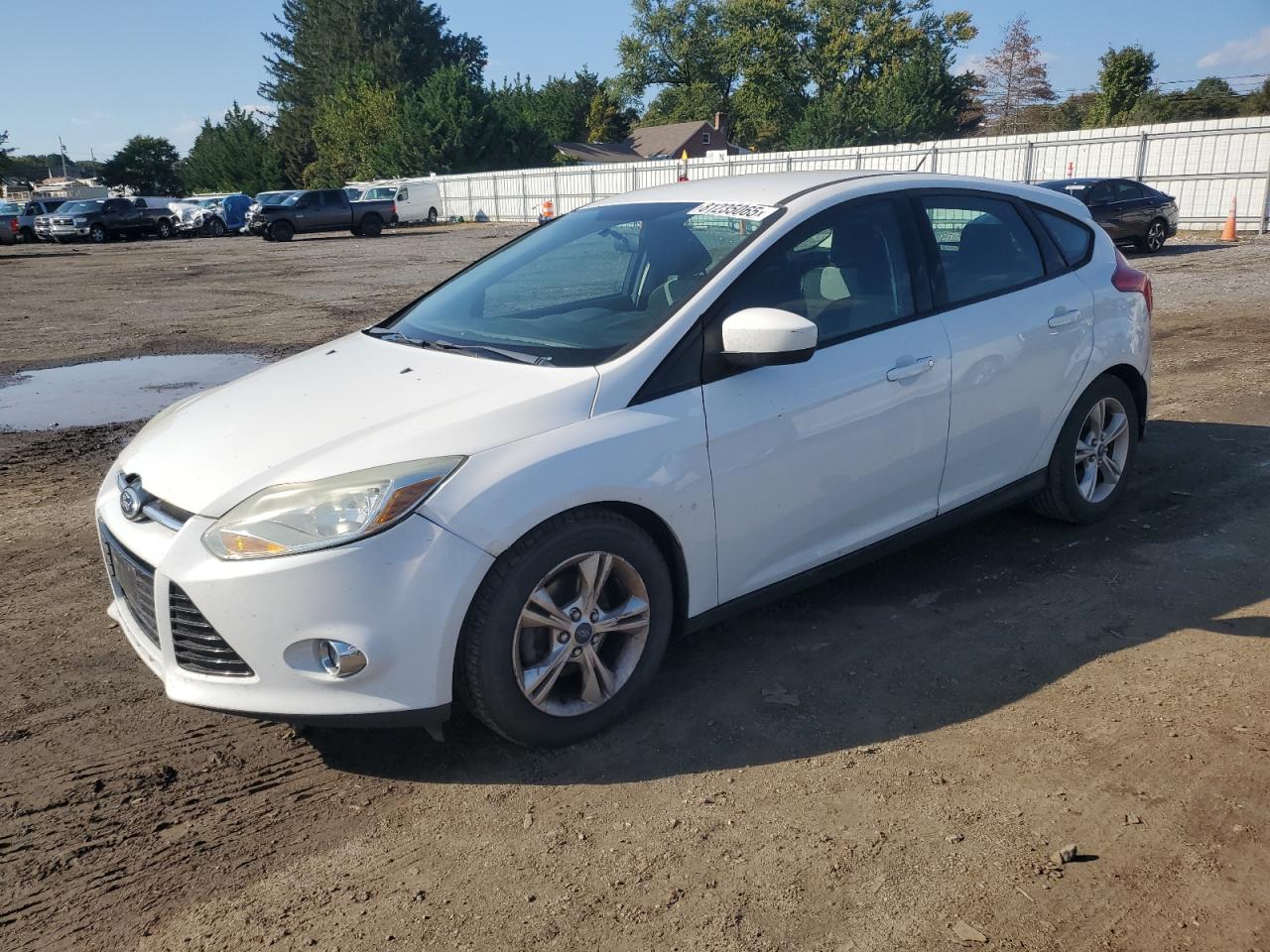 FORD FOCUS SE