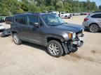 Lot #3304606482 2017 JEEP RENEGADE L