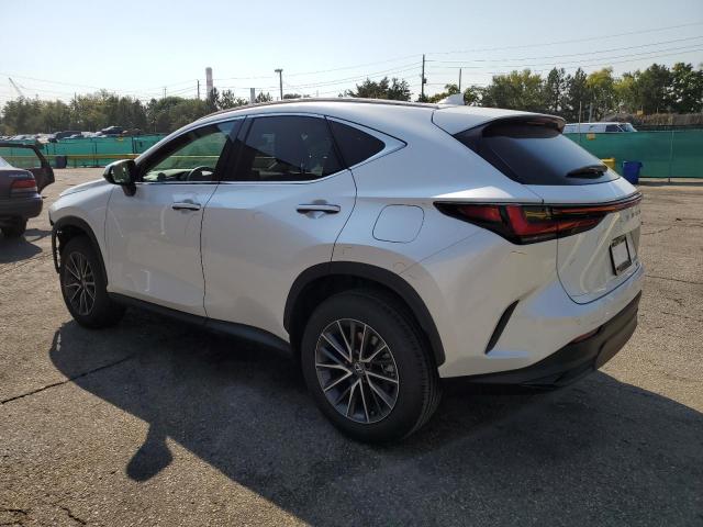 2025 LEXUS NX 350 PREMIUM 2T2GGCEZ8SC092224