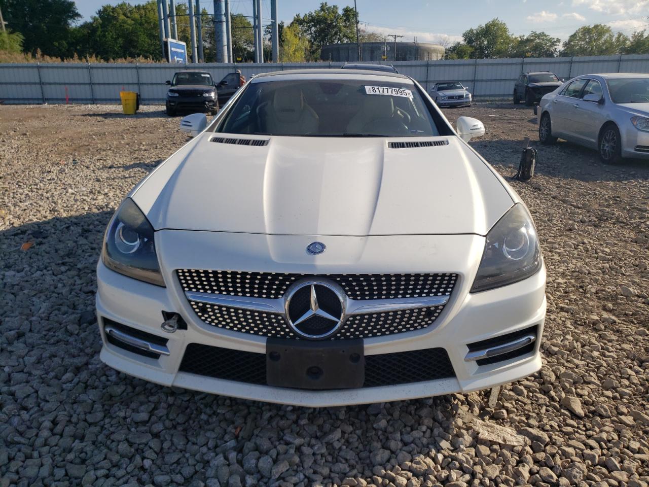 MERCEDES-BENZ SLK-CLASS 250