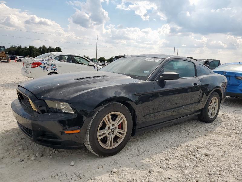 2014 FORD MUSTANG - 1ZVBP8AMXE5229264