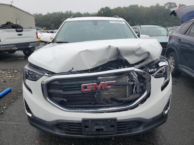 2019 GMC TERRAIN SL 3GKALTEV8KL113576