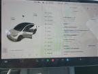 Lot #3302659048 2021 TESLA MODEL Y