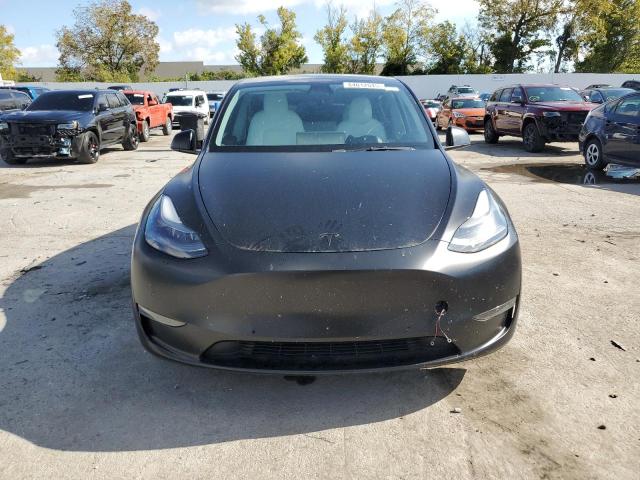 2021 TESLA MODEL Y #3303720416